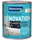 Peinture de Rénovation 1L