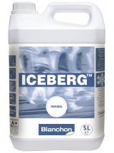 Iceberg