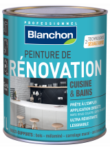 Peinture de Rénovation 1L