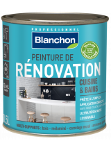 Peinture de Rénovation 1L